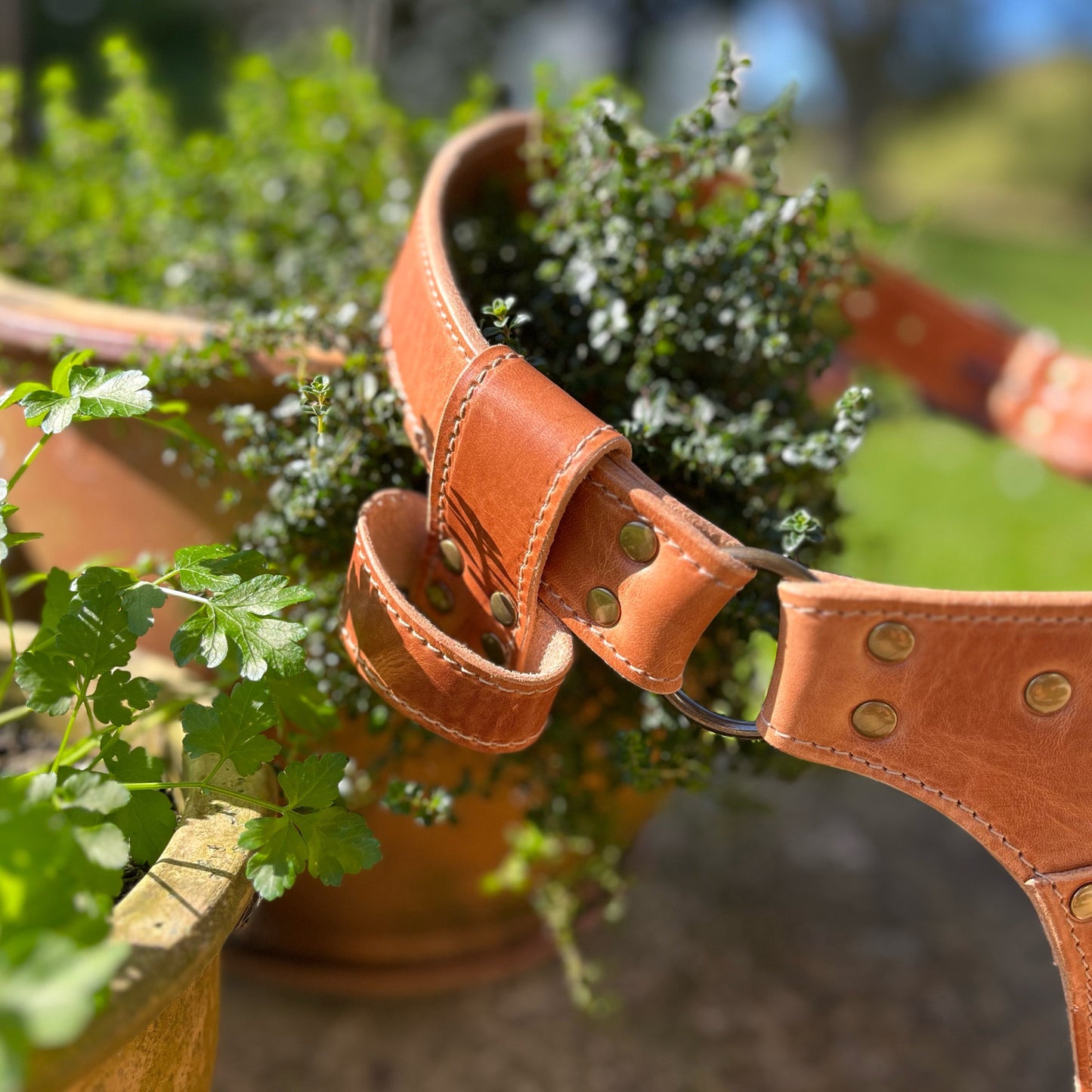 Natural leather tool belt with plants in the background