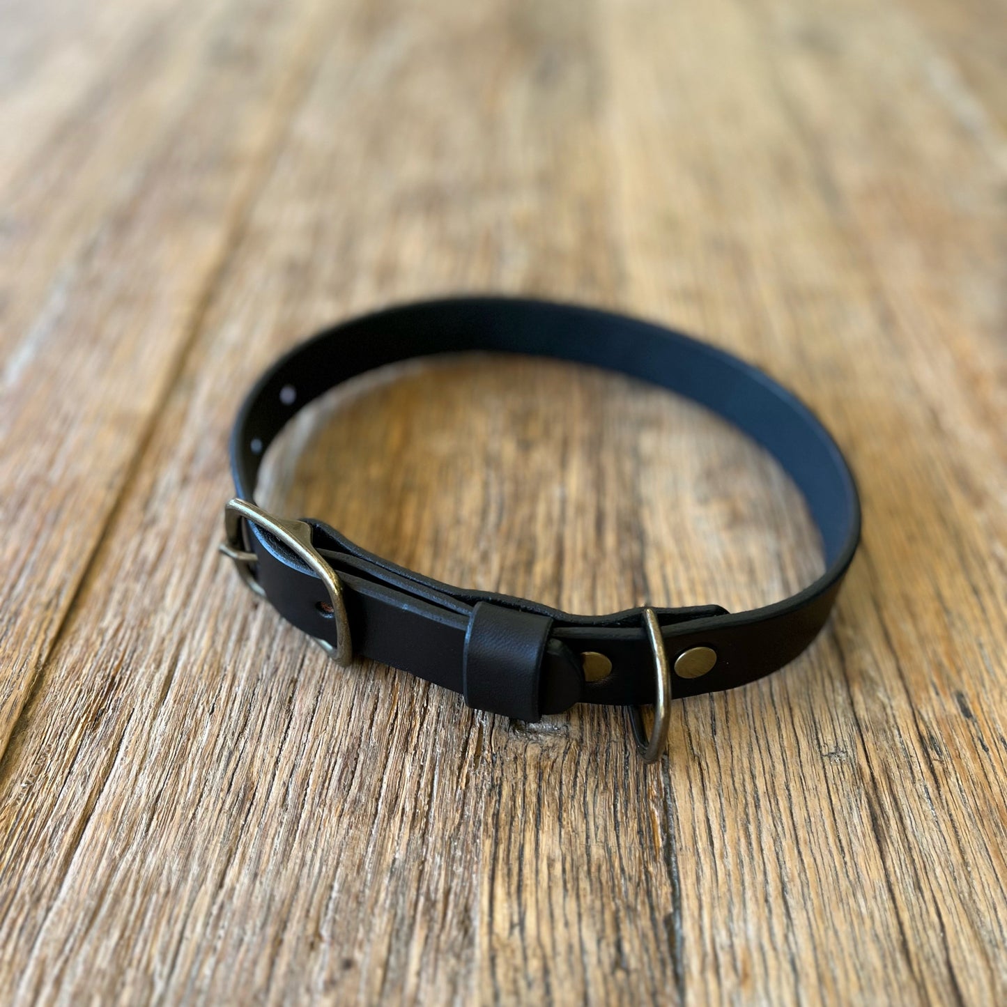 Black leather dog collar with brass hardware on a wooden surface