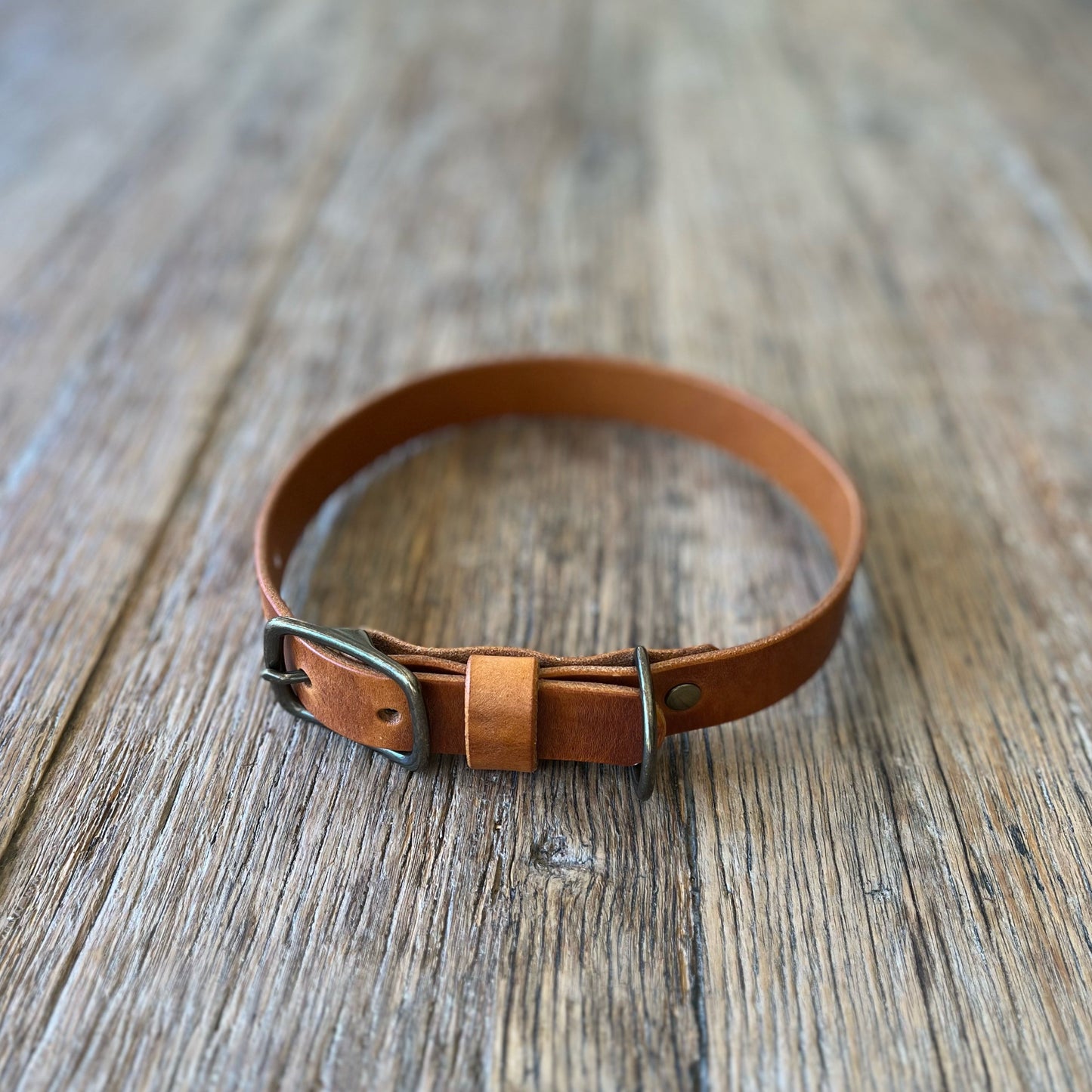 Brown leather dog collar on a wooden surface