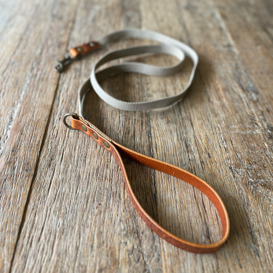 Dog Leads