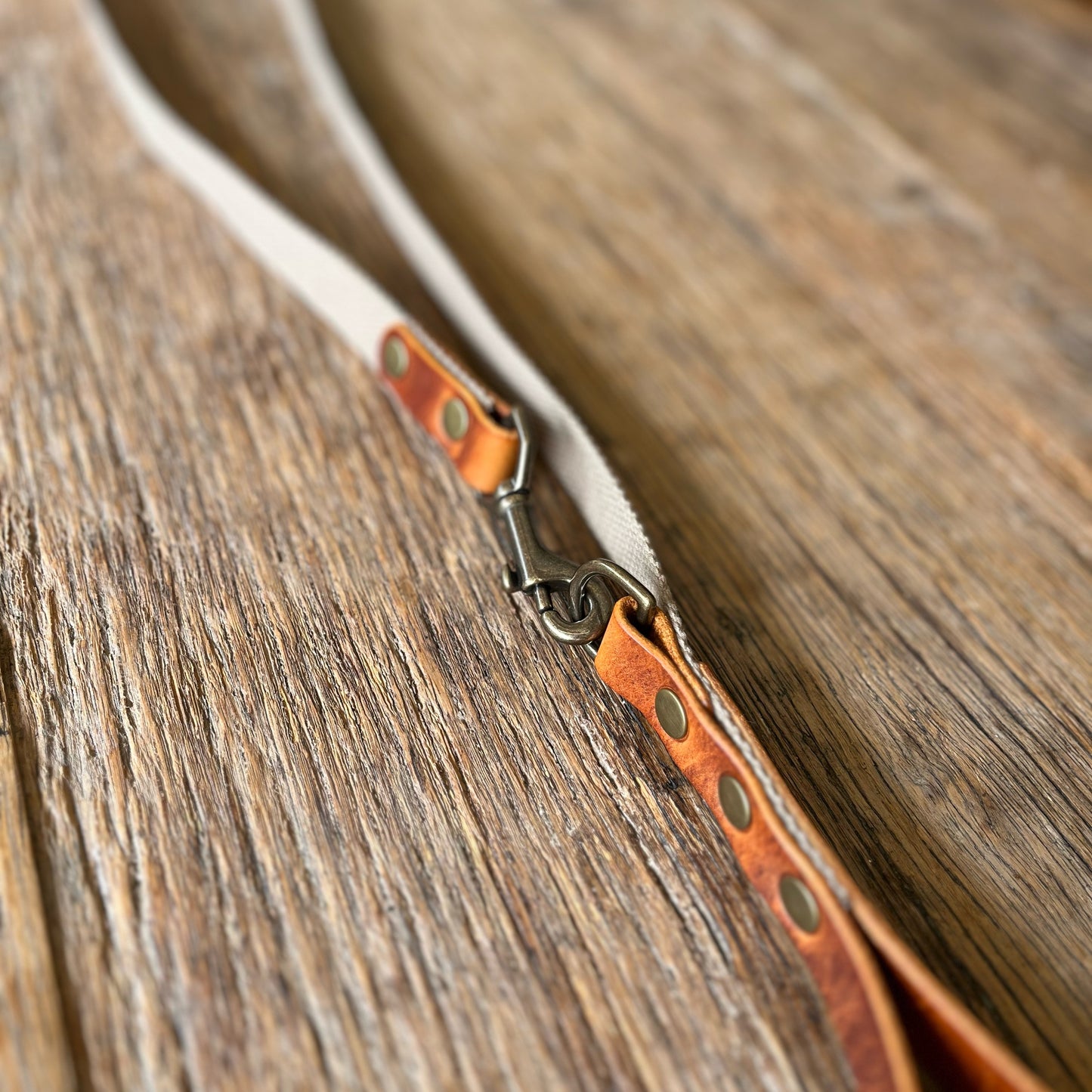Dog Leads