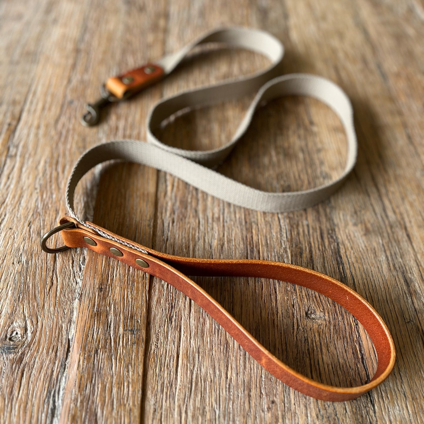 Dog Leads