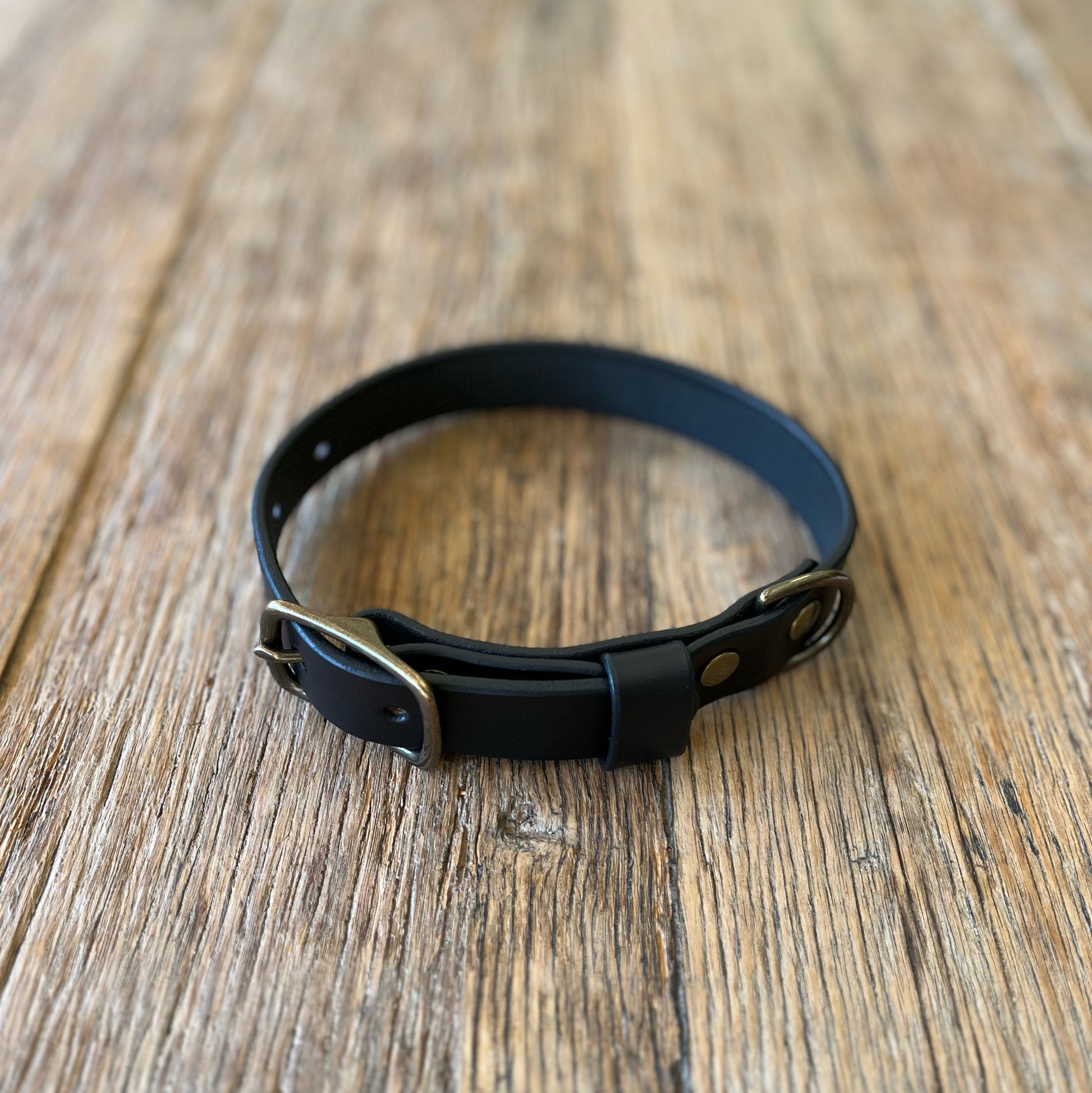 Black leather dog collar with brass hardware on a wooden surface